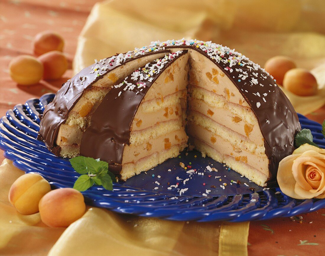 Large chocolate-covered dome cake with apricot filling