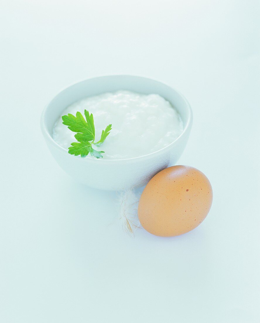 Yoghurt and egg (ingredients for Turkish cuisine)