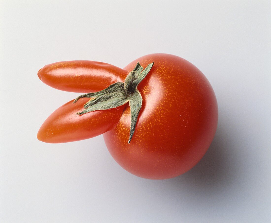 Eine Tomate mit Ohren