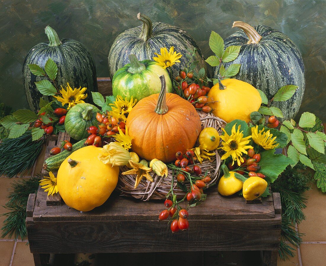 Herbstliches Stillleben mit Kürbissen