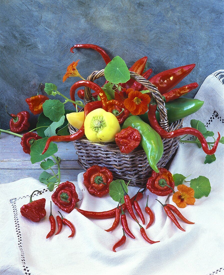 Still life with peppers, chillies and nasturtiums