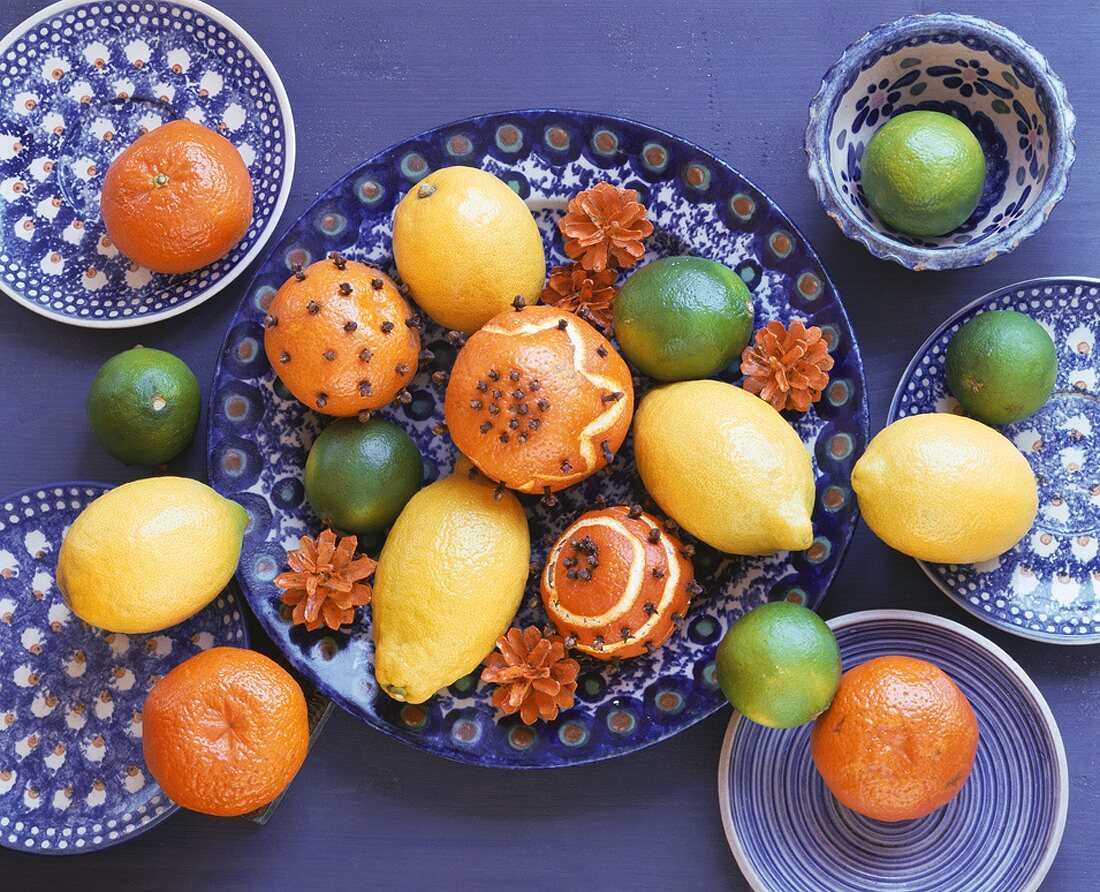 Stillleben mit gespickten Orangen und anderen Zitrusfrüchten