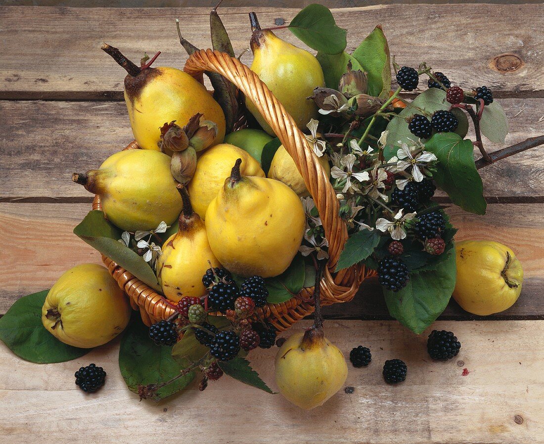 Korb mit Quitten und Brombeeren