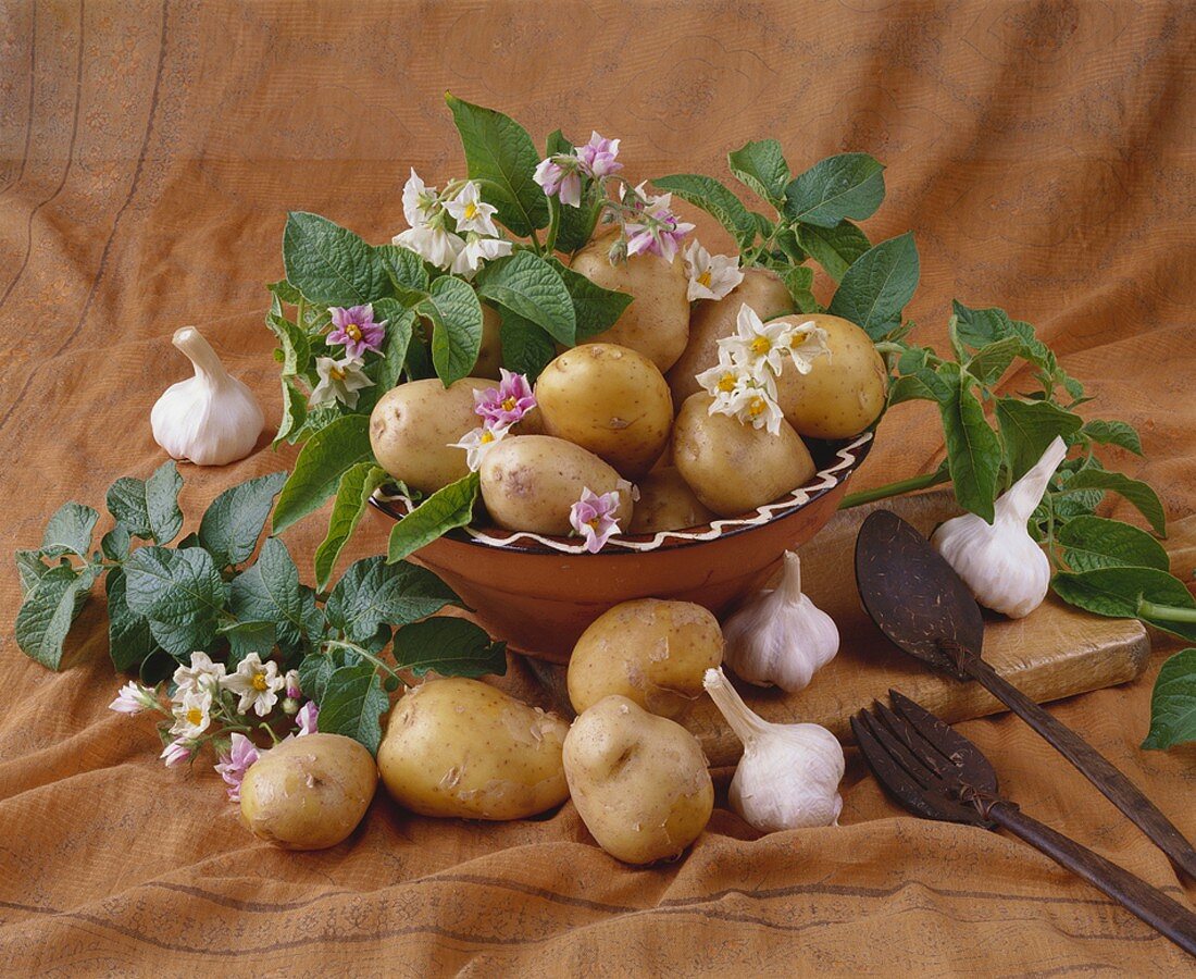 Still life with potatoes and garlic