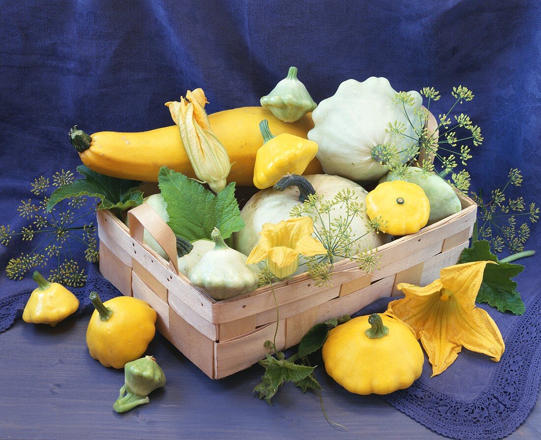 Various types of squash and fennel seedheads