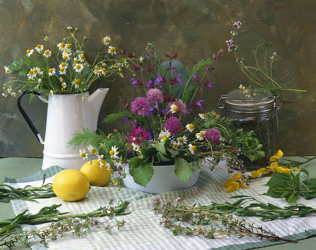 Flowering chives, chamomile, thyme, tarragon, lemons