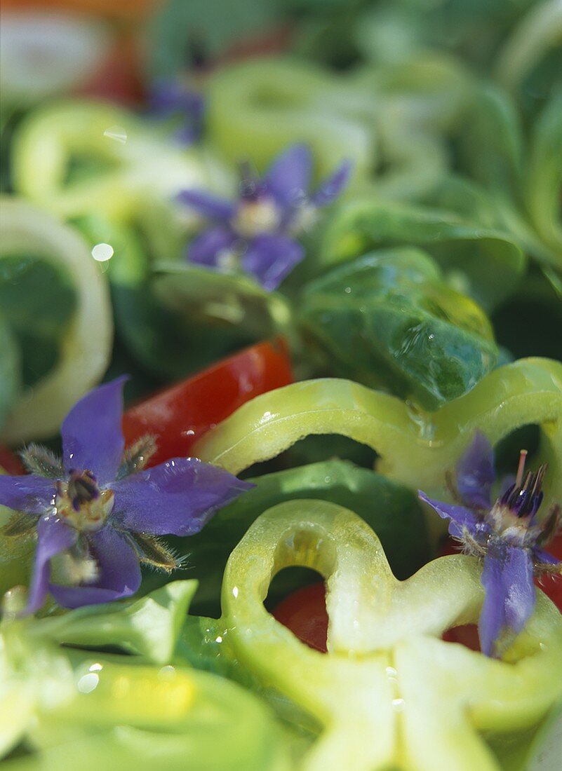 Salad with borage flowers