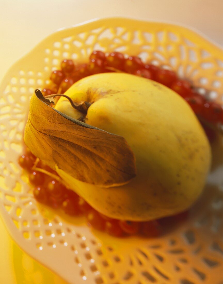 A quince with redcurrants