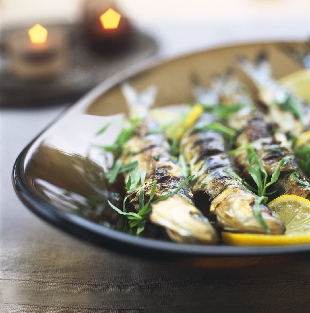Marinated, grilled sardines