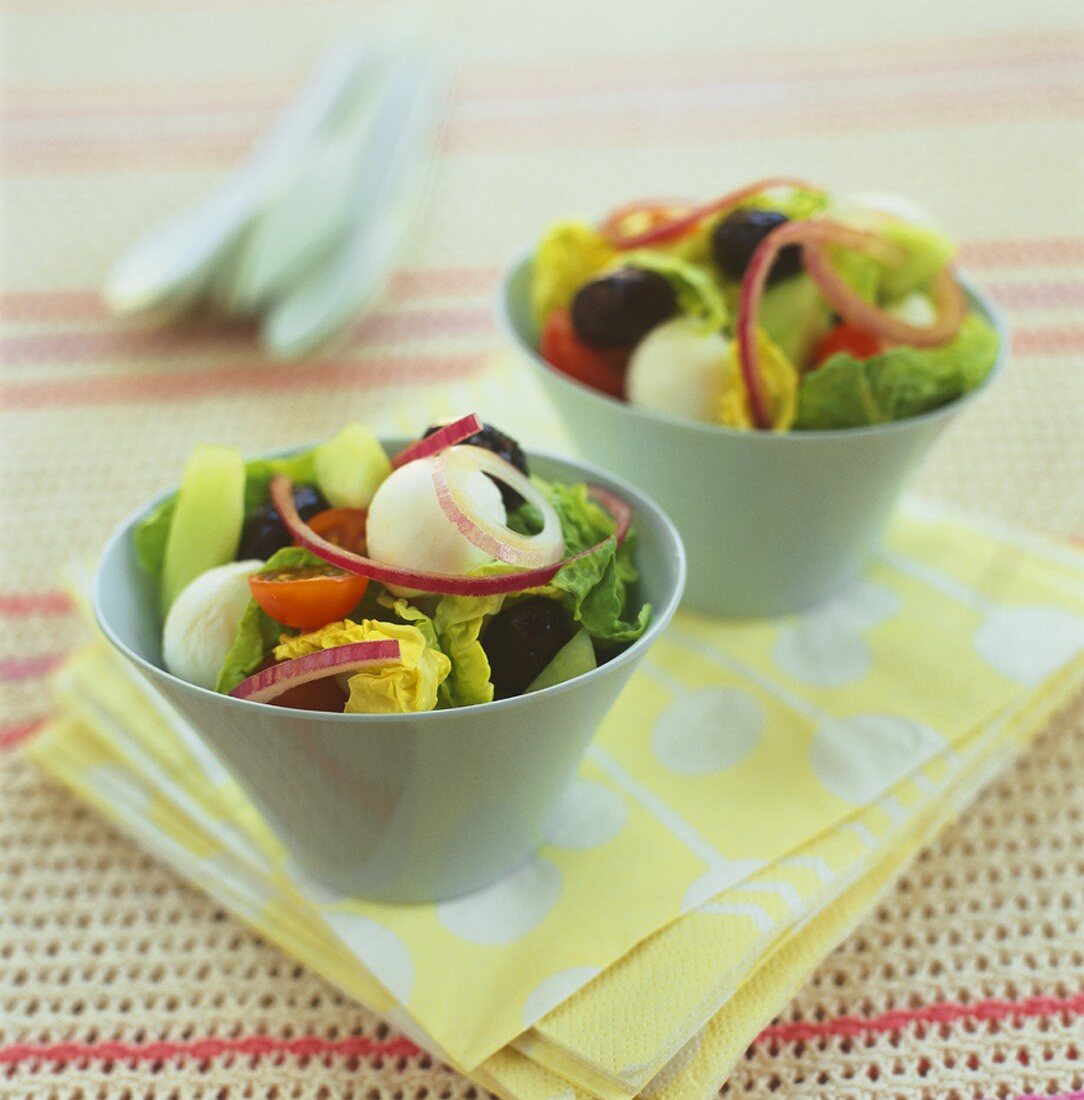 Gemischter Salat mit Baby Mozzarella in zwei Schüsselchen