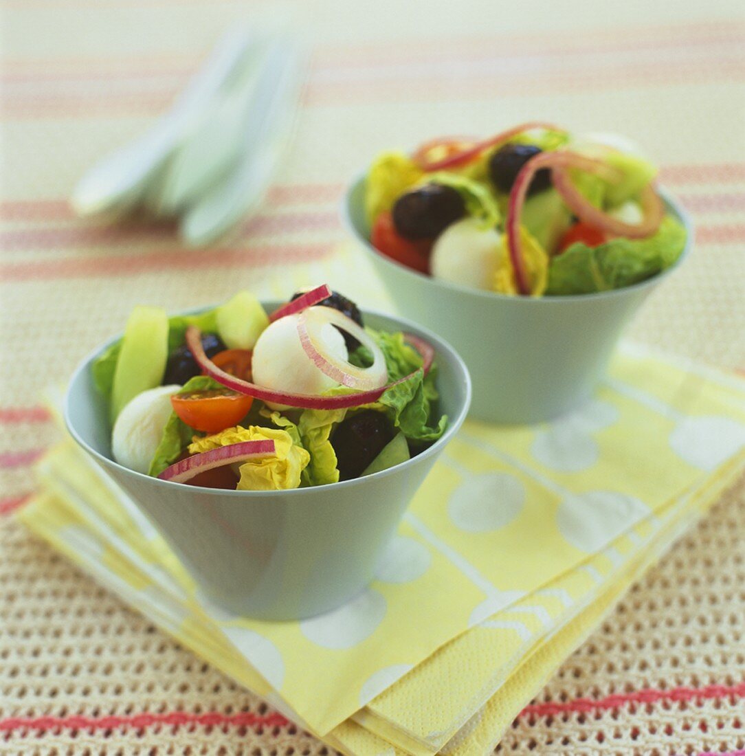 Mixed salad with baby mozzarella in two bowls
