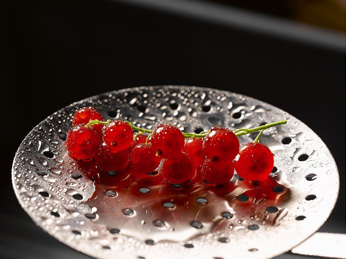 Redcurrants on a slotted spoon