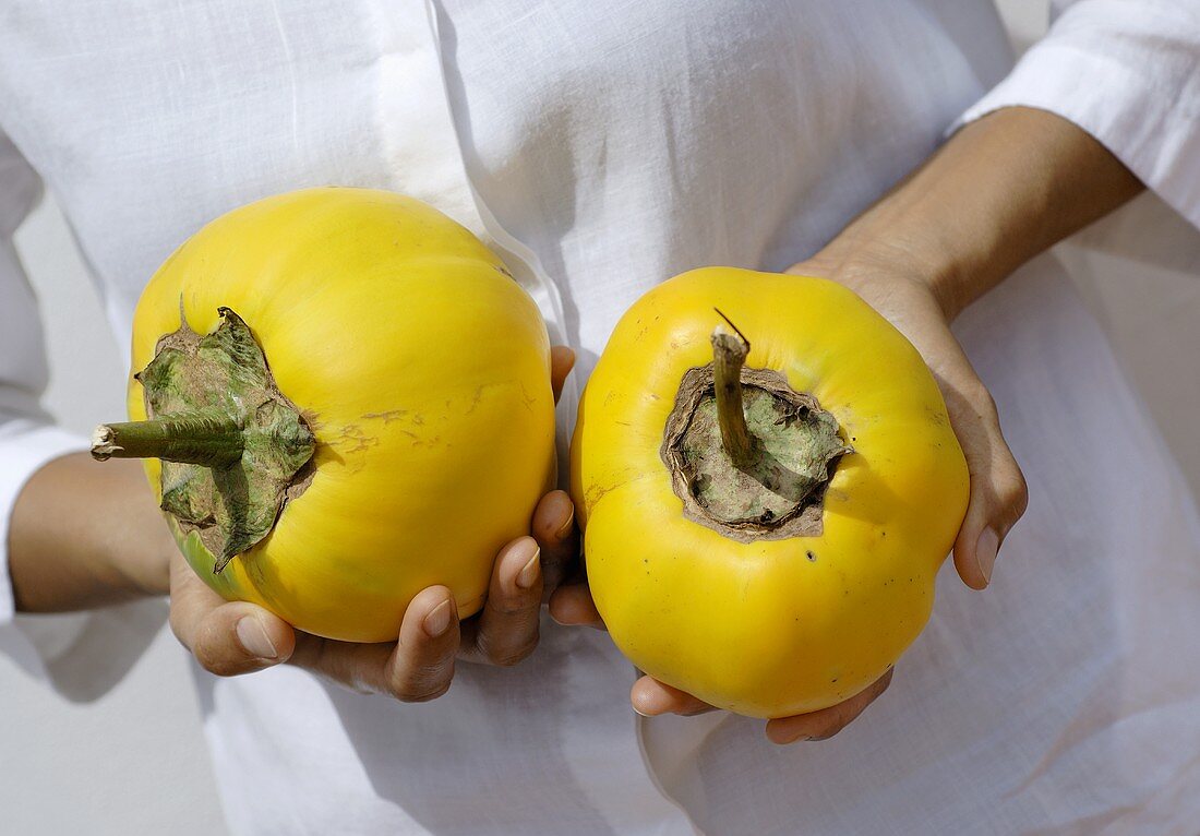 Thai boy holding two Thai aubergines