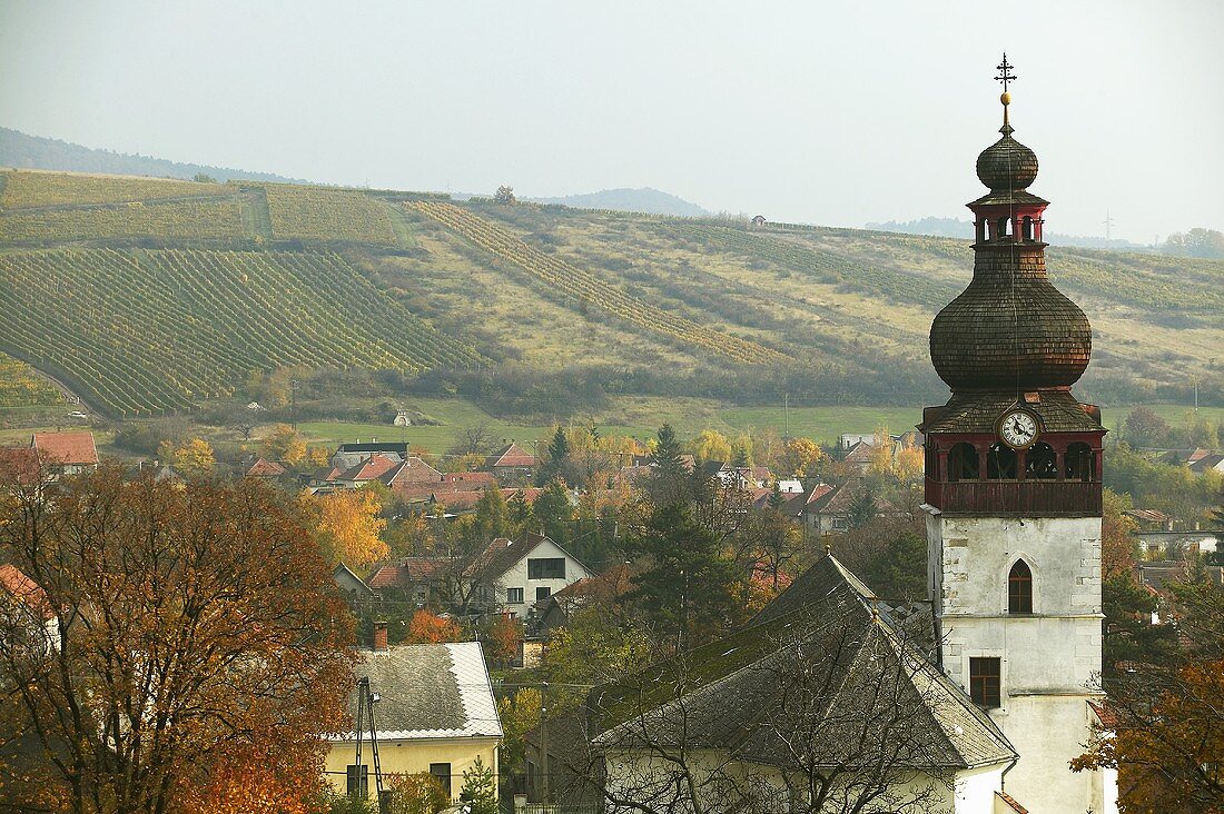 Die Ortschaft Tolcsva, Tokaj, Ungarn