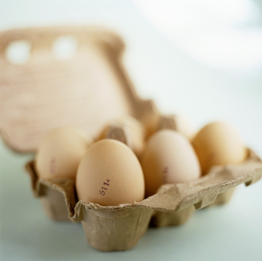 Sechs Eier in der Eierschachtel