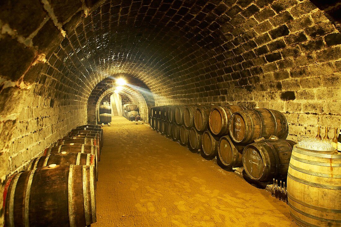 Wine cellar of Hetszolo Estate, Tokaj, Hungary