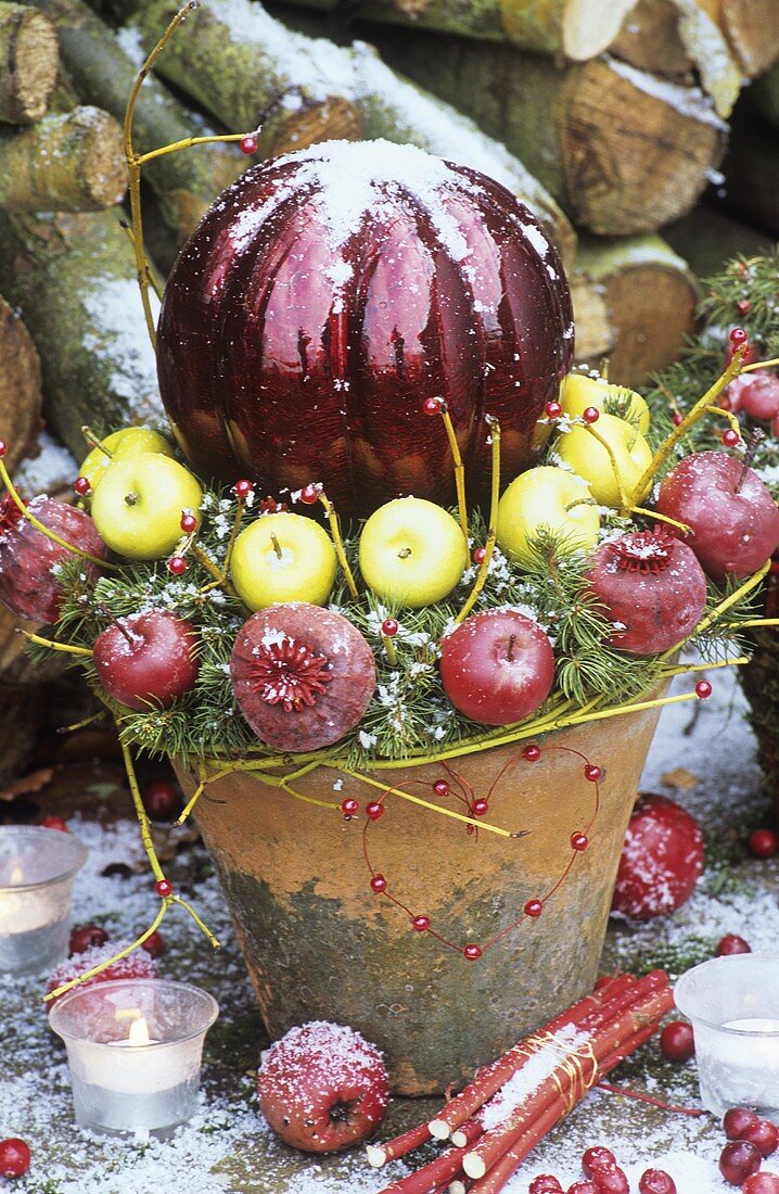 A Christmas arrangement of apples in a plant pot