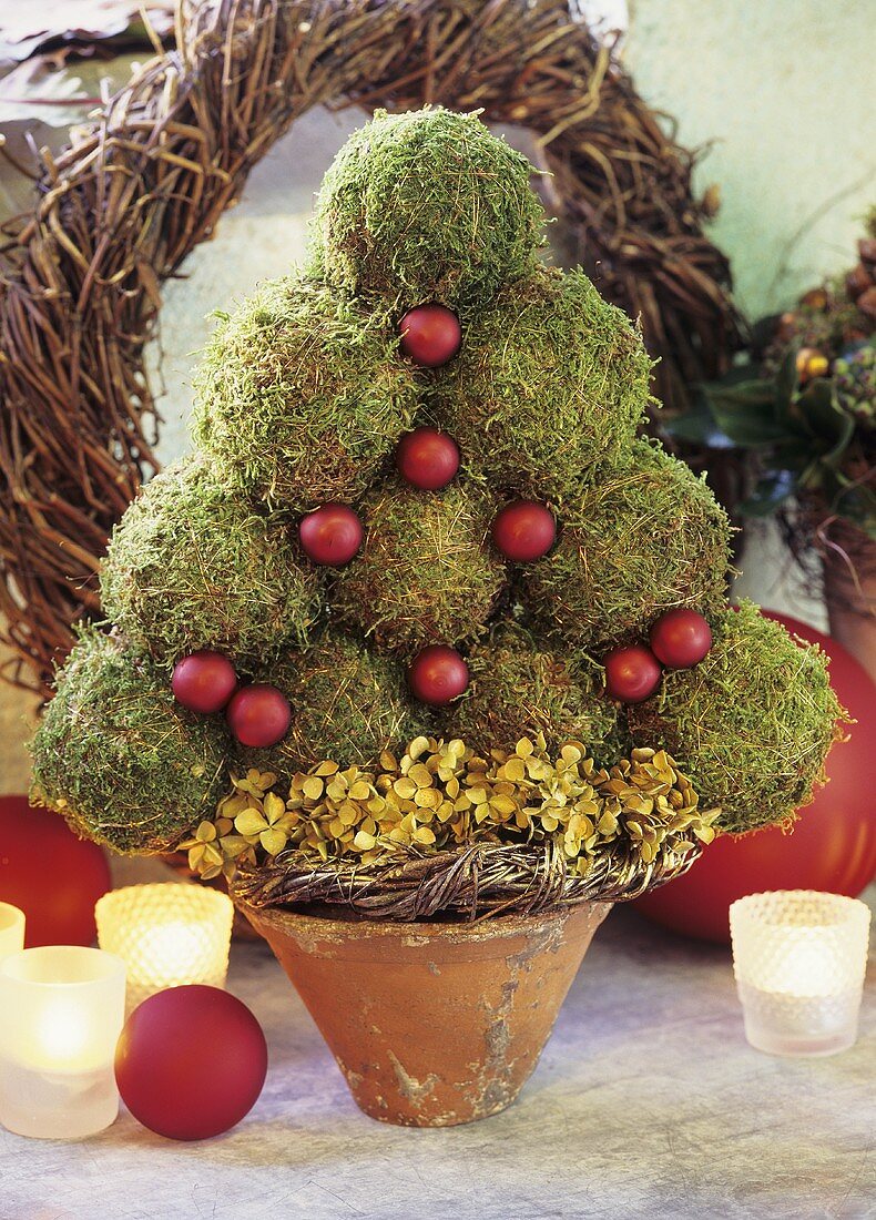 A moss Christmas tree