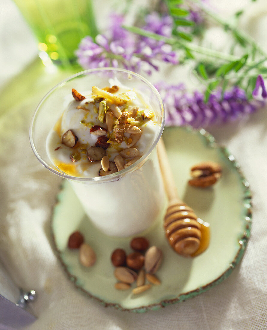 Greek yoghurt with honey and nuts