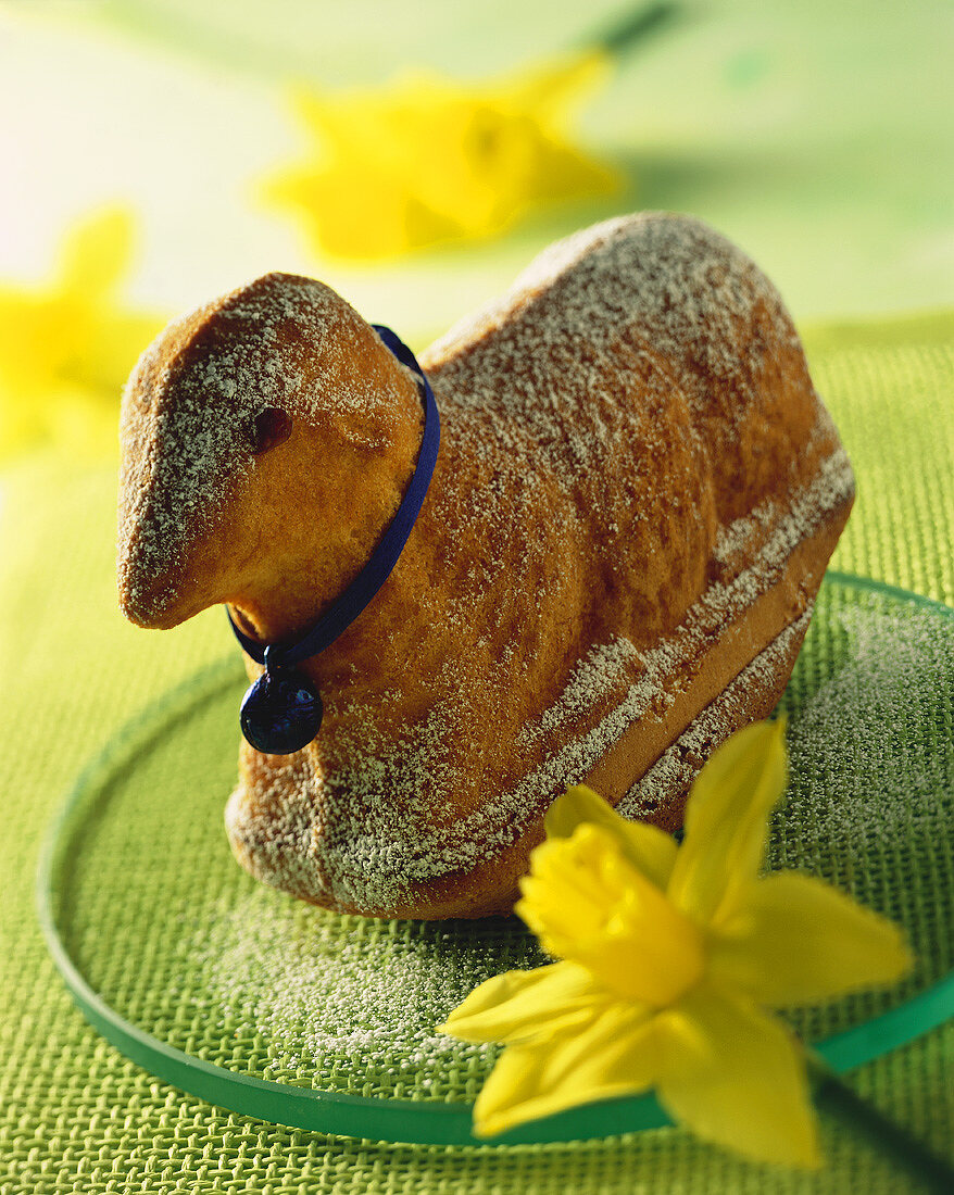 Baked Easter lamb cake with icing sugar