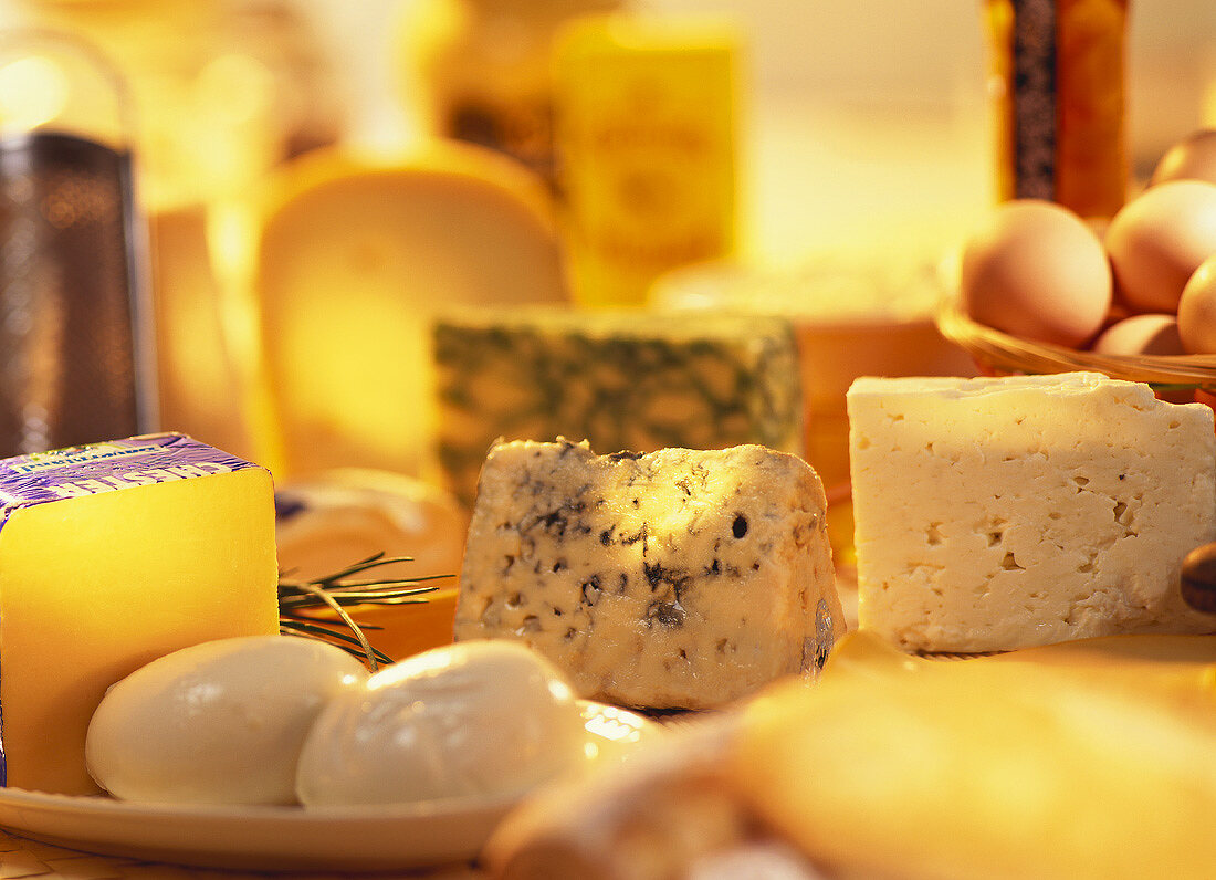 Still life of various types of cheese
