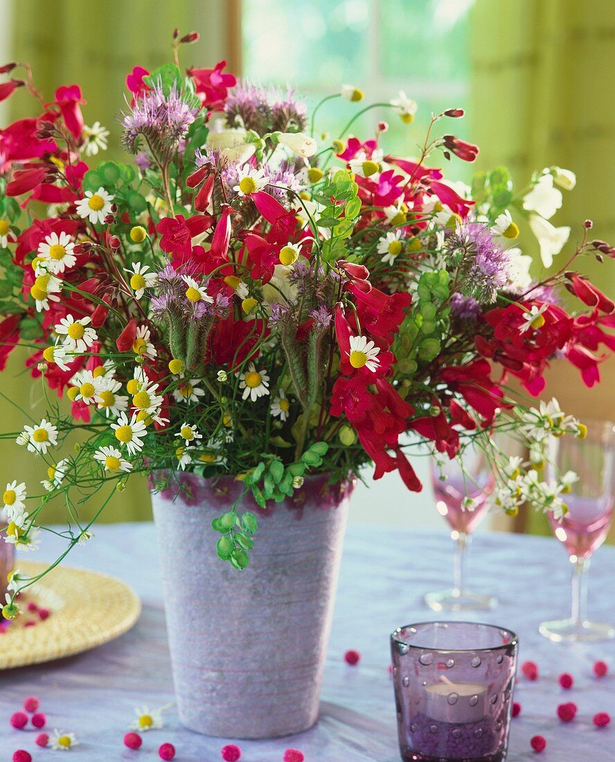 Vase of pentstemon, phacelia and mayweed