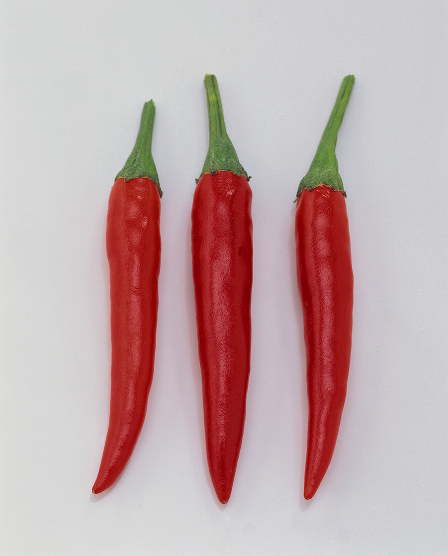 Three red chillies against a white background