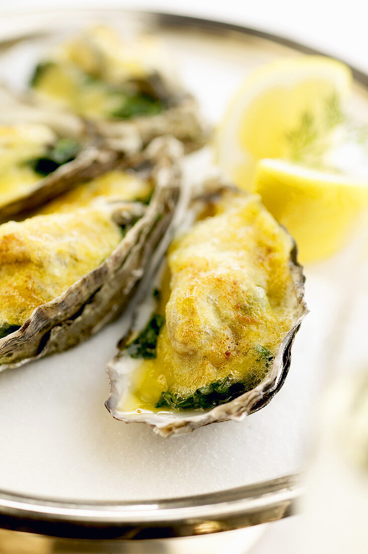 Oysters au gratin