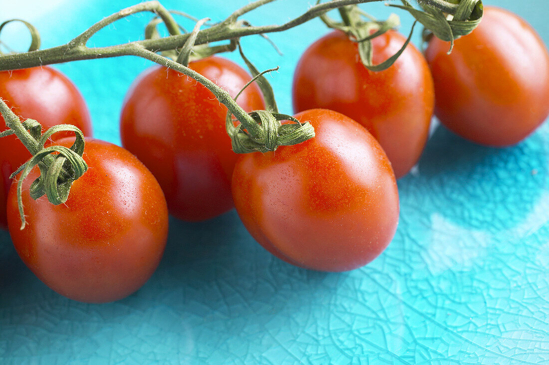 Six tomatoes on the vine