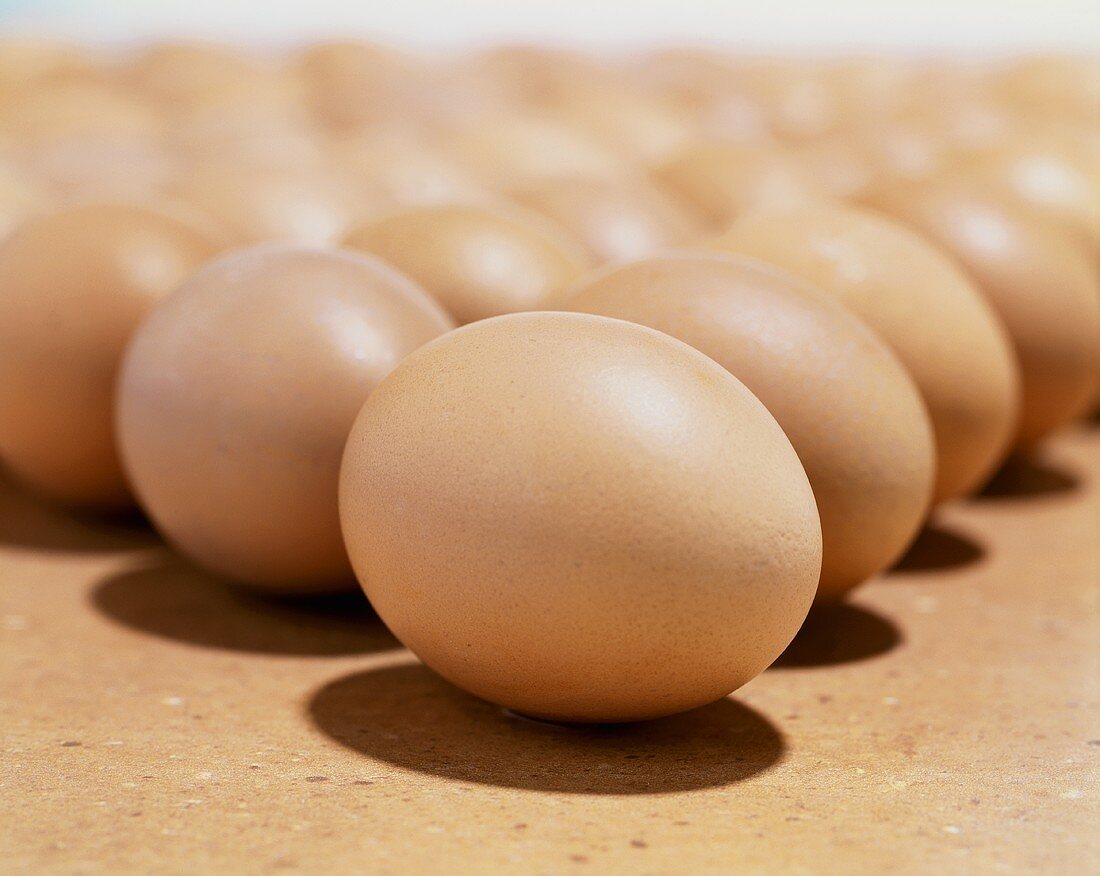 Several fresh, brown eggs