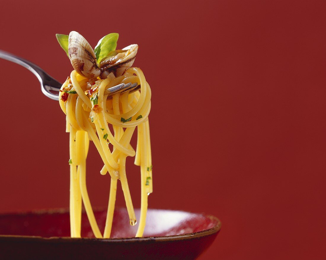 Spaghetti with shellfish on fork
