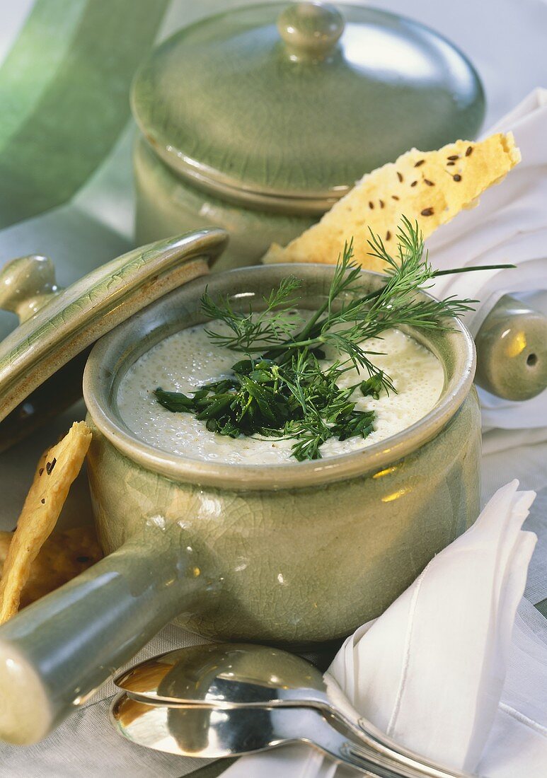 Käsecremesuppe mit frischen Kräutern