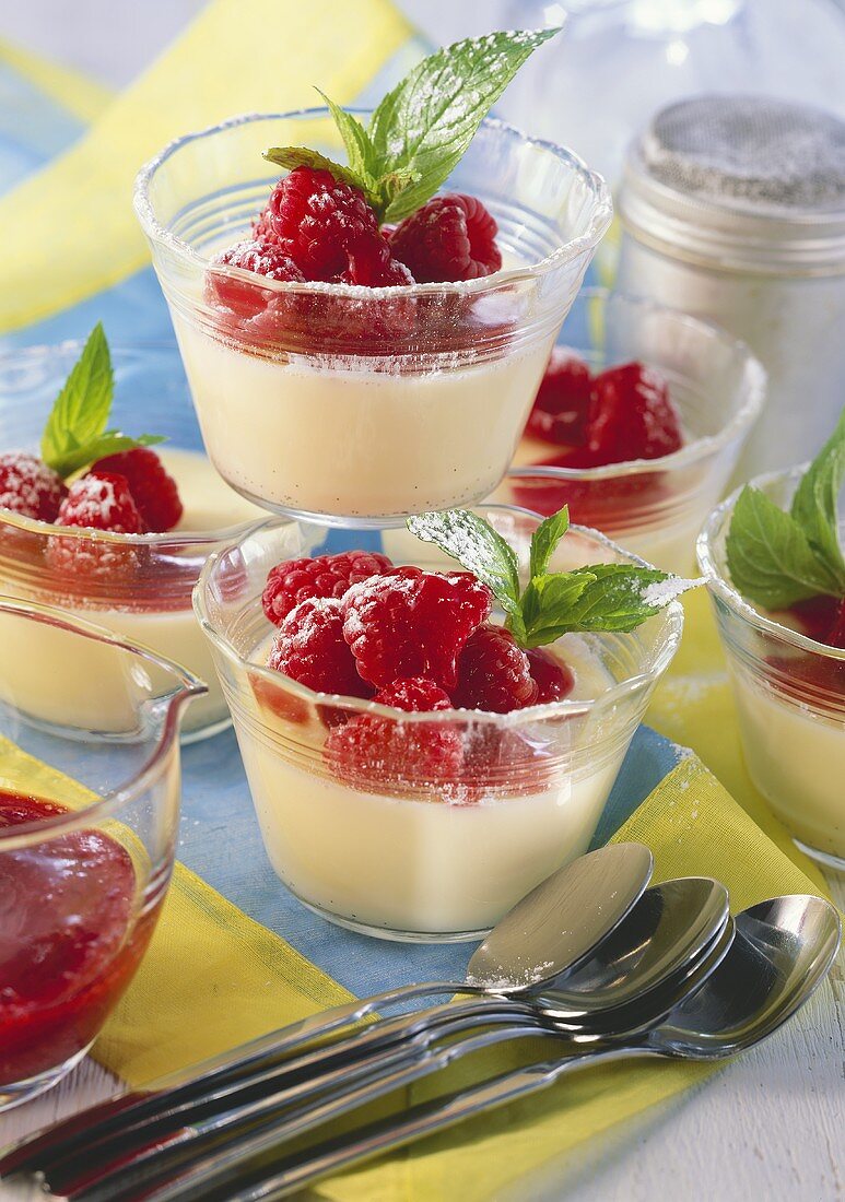 Panna Cotta mit frischen Himbeeren