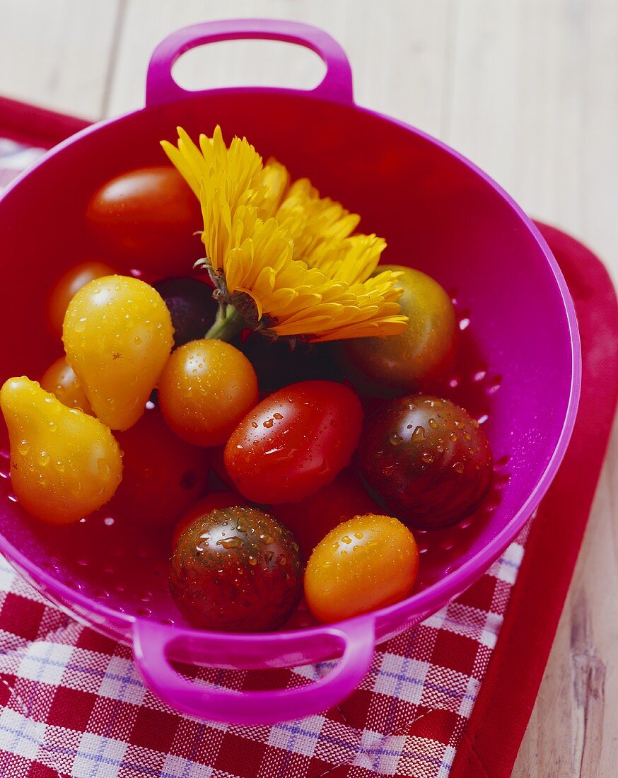 Various types of tomatoes and marigold in colander