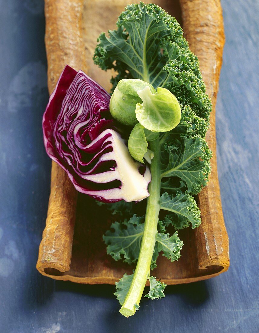 Brassica still life (kale, red cabbage & Brussels sprouts)