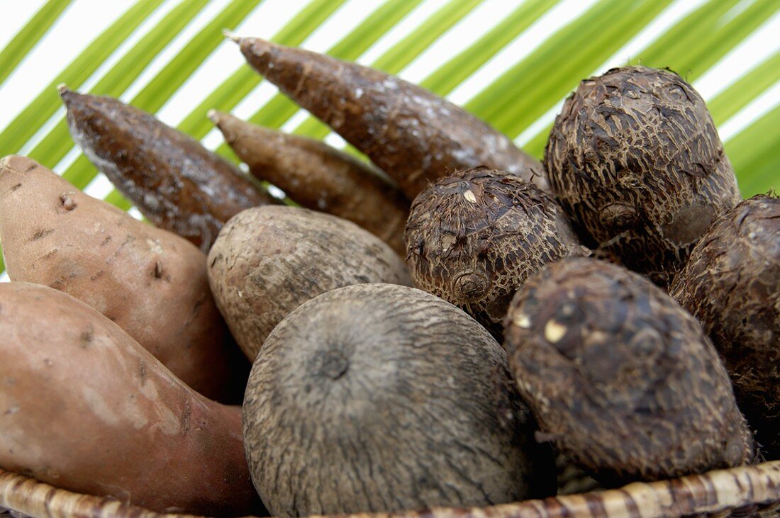 Stillleben mit Manik-, Taro-, Yamwurzel und Süsskartoffeln