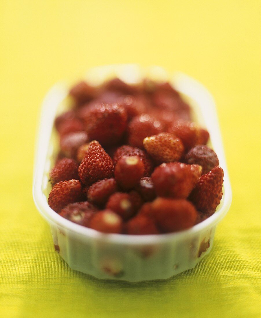 Wild strawberries in a plastic container