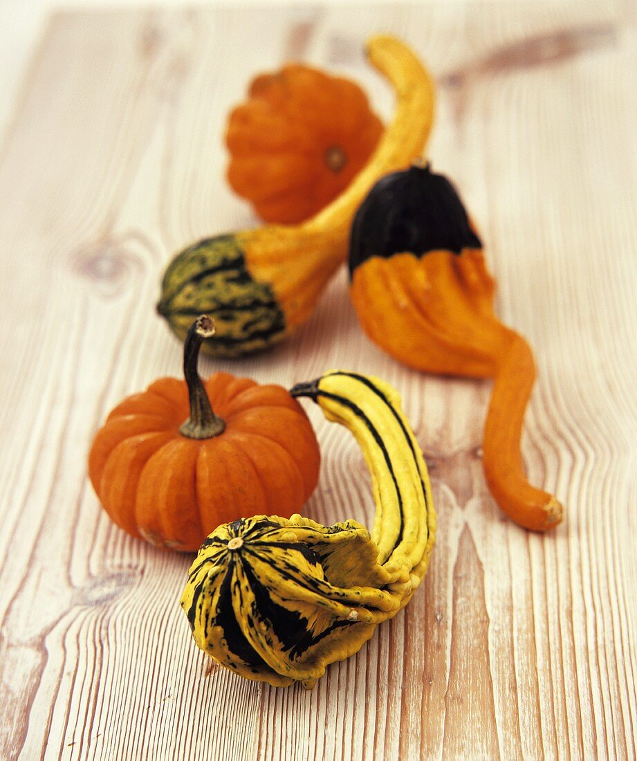 Five different ornamental gourds