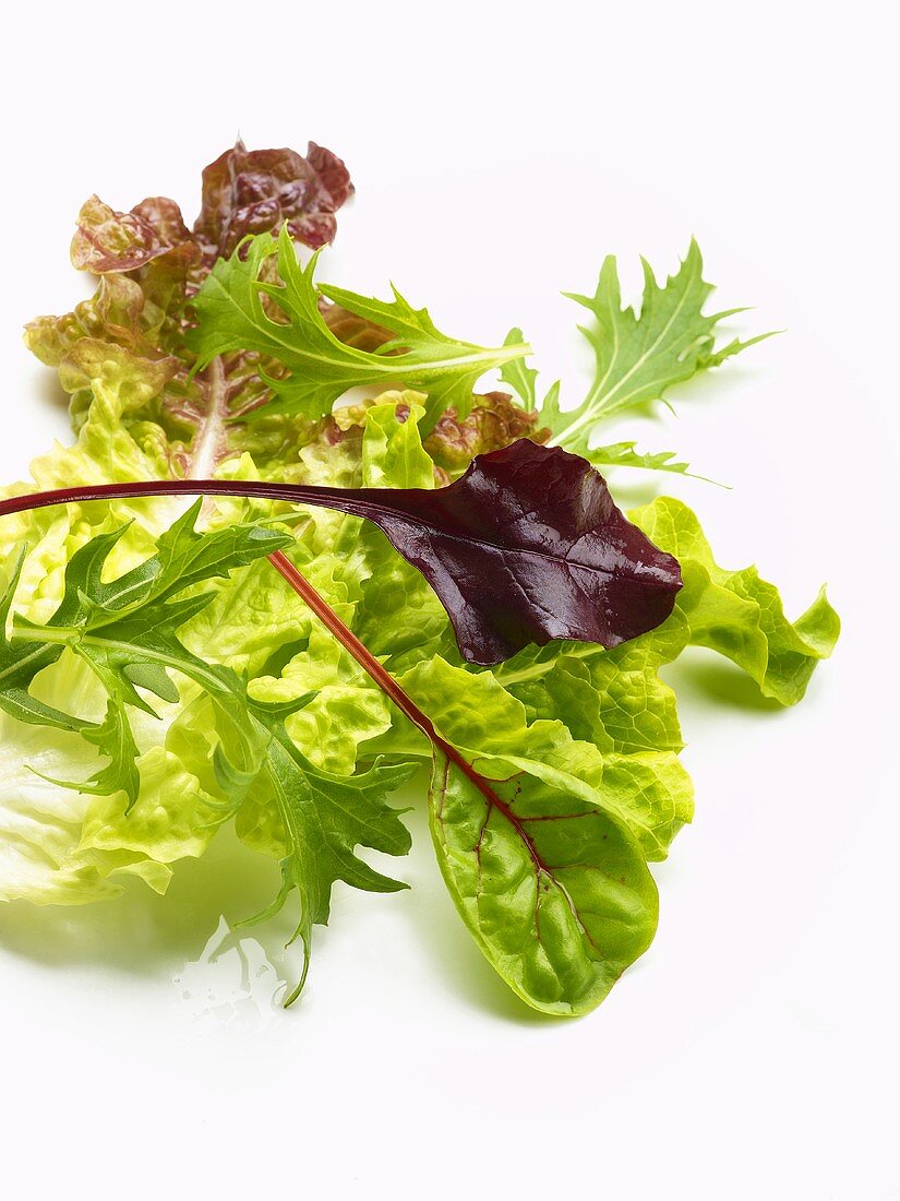 Verschiedene Salatblätter