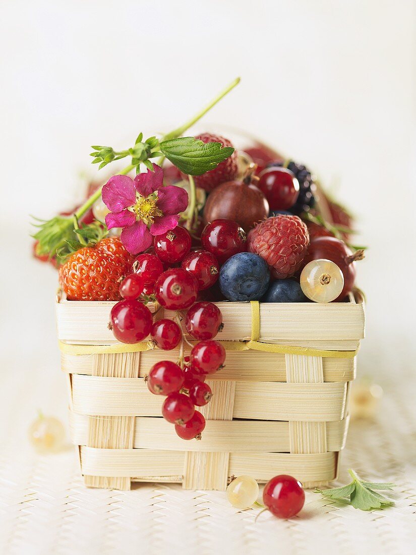 A basket of mixed berries