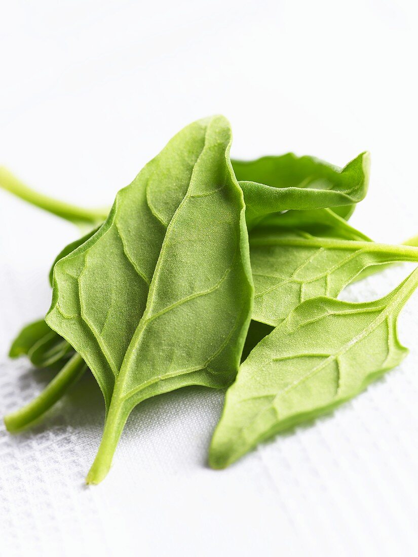 Several spinach leaves