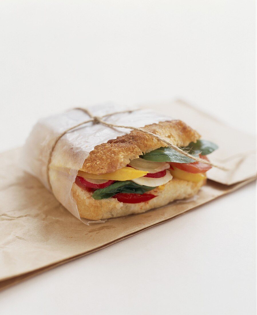 A vegetables sandwich wrapped in paper