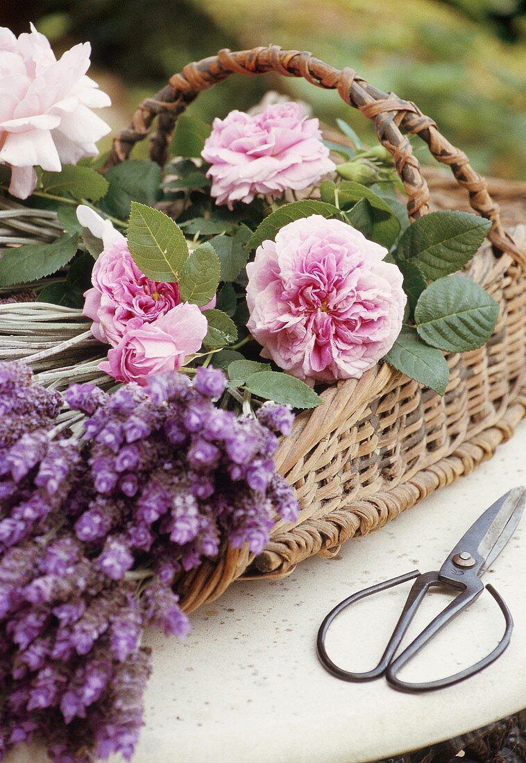 Flowers in a basket