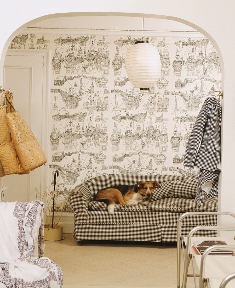 Liegender Hund auf karierter Couch vor Mustertapete
