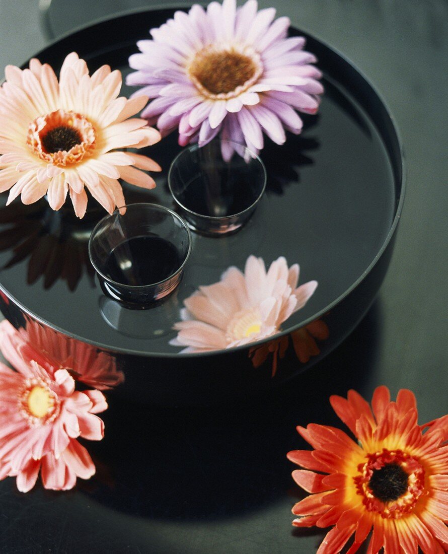 Gerbera daisies floating in water