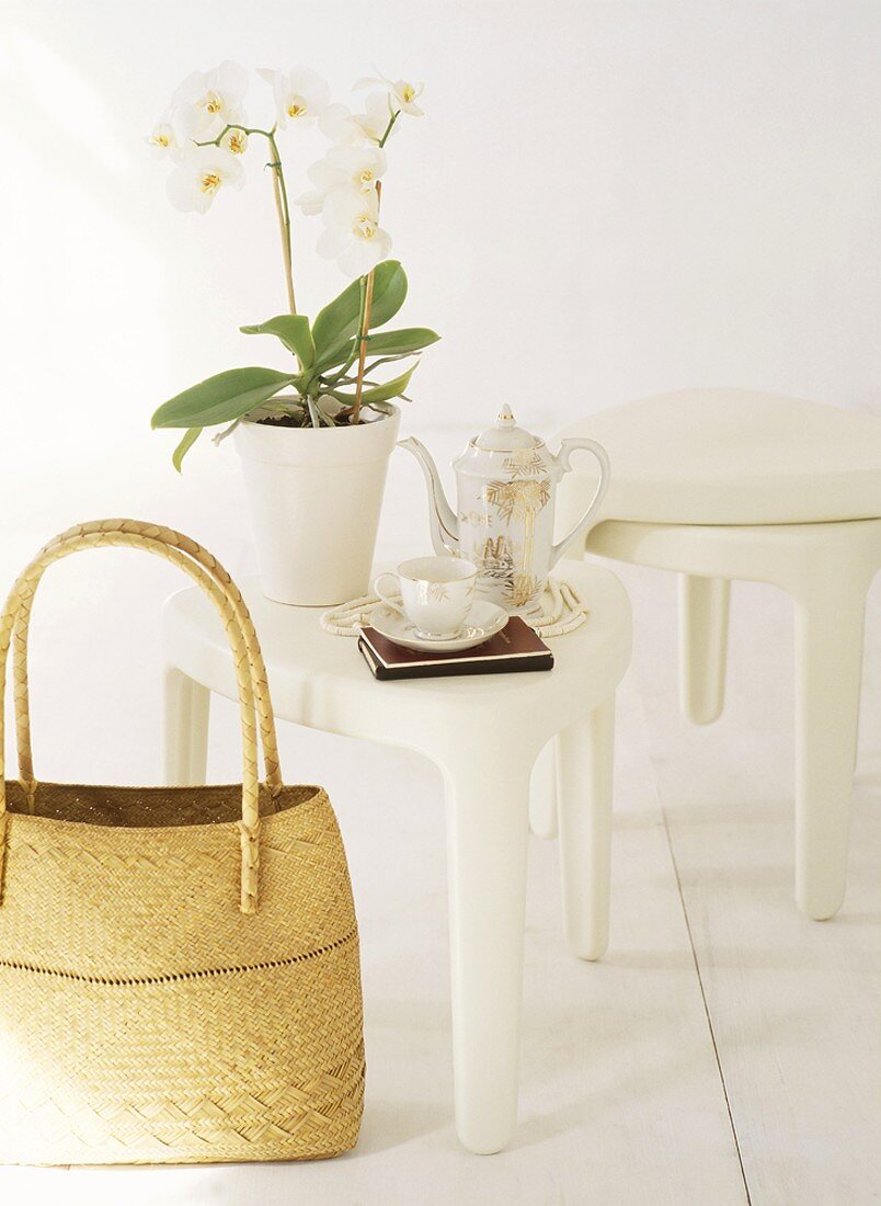 Orchids, teacup and teapot on stool