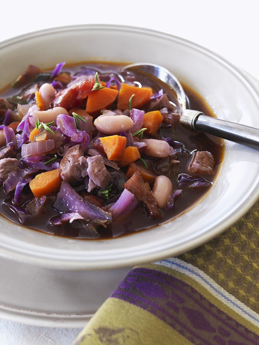 A plate of vegetable stew (red cabbage, beans and carrots)