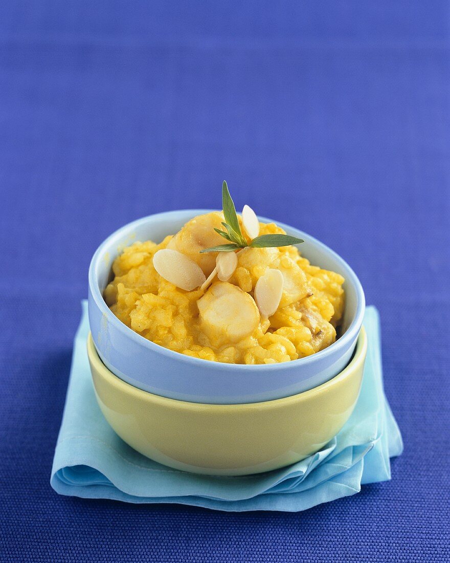 Saffron risotto with monkfish