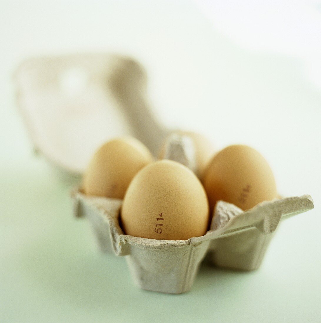 Four eggs in an egg box
