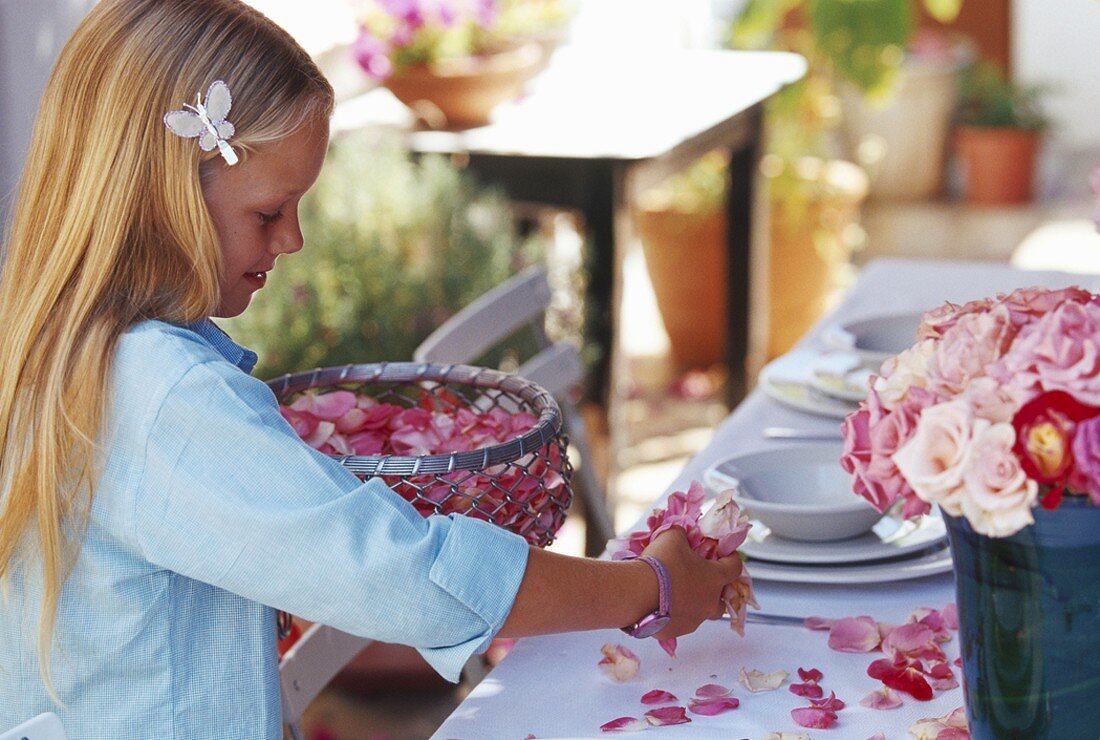 A little girl sprinkling rose petals on a laid table